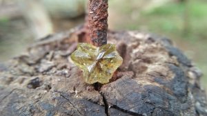 🇱🇰 CEYLON Natural Chrysoberyl Crystal 12.5mm x 10mm x 5mm dimensionstone unearthed from city of gem Ratnapura Mineral Sri Lanka Crysoberyl Crystal is the rare crystal type of gemstone family.