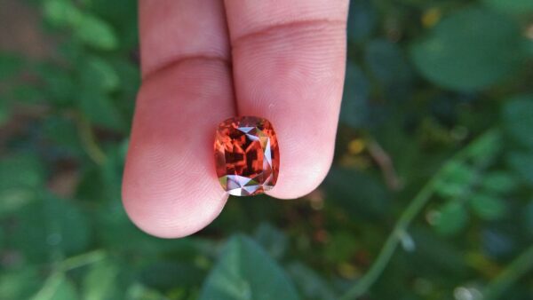 🇱🇰 Ceylon Natural Orange Zircon Dimension : 10.4mm x 8.5mm x 7.5mm Weight : 7.70 cts Colour : Orange ( Brandy Colour ) Clarity : Very Clean Treatment : Unheated/ Natural Mineral : City of Gem Ratnapura Sri Lanka