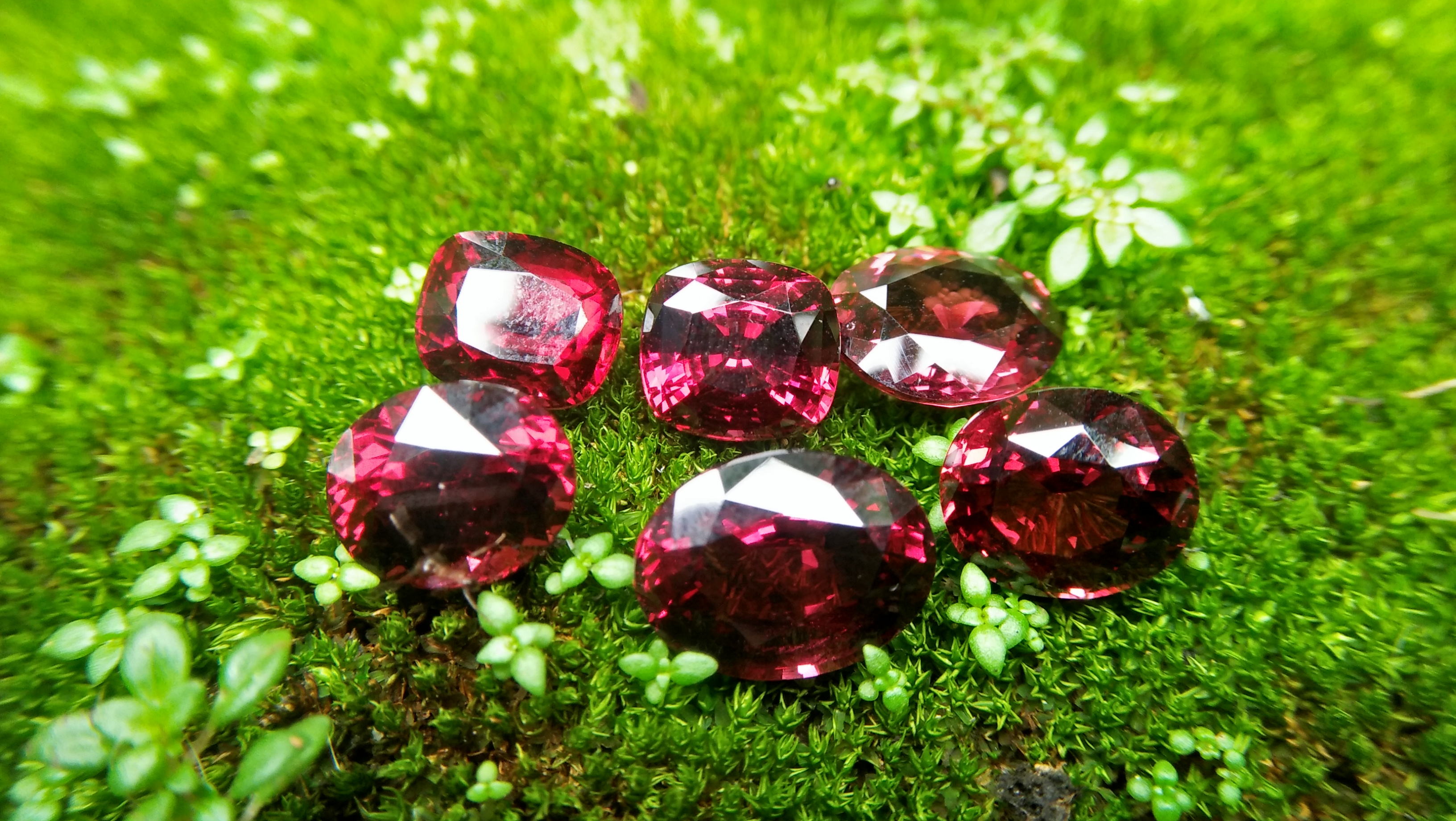 Ceylon Natural Rhodolite Garnets Dimension: 9.4mm x 8.2mm x 7.6mm/ 9.6mm x 8.8mm x 6.8mm 10mm x 8.7mm x 6.5mm/ 10.5mm x 9.4mm x 6.8mm 13mm x 9.8mm x 5.9mm/ 11.9mm / 10mm x 4.8mm Weights: 5.30cts/ 5.45cts/ 5.60cts/ 6.20cts/ 6.80cts/ 4.85cts Mineral: City of gem Ratnapurea Sri Lanka Shapes: Ovel and Cution Colour: Pinkish Red Pieces: 6 Treatment: NO Treatment/Unheated/Natural