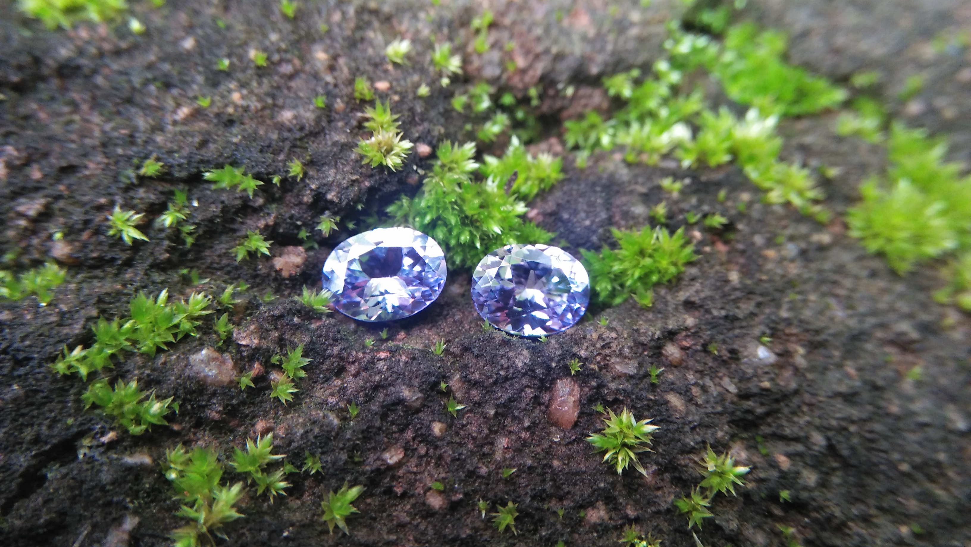 NATURAL Lavender Spinel Pair Shape : Ovel Clarity : SI Treatment : Natural/Unheated Dimension : 6.5mm x 5mm x 3mm ( Both Same) Weight : 1.45Cts (Both) Cut : Flower Cut Dispersion : Good Colour : Light Lavender