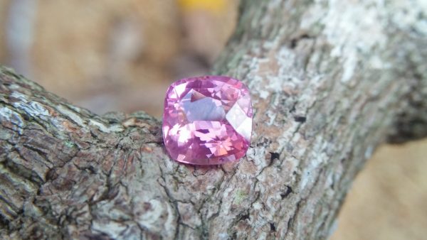 Sapphire is the birthstone for September NATURAL Pink SAPPHIRE Shape : Cution Cut : Mixed Cut Dimension : 5.9 mmx 5.96 mm x 4 mm Weight : 1.30 Cts Clarity : SI Colour : Pink Transparency : Transparent Treatment : Unheated Origin : Sri Lanka