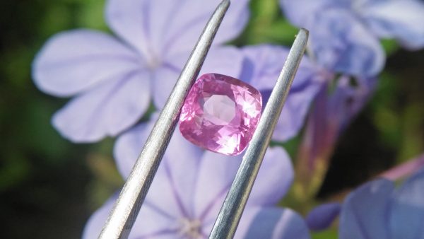 ceylon natural pink sapphire