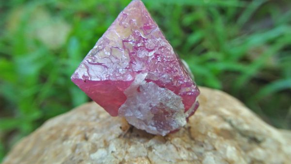 Natural Pink Spinel Crystal Specimen Weight : 113.30 Cts Fluorescence : Very good Fluorescence under UV light Treatment : None/ Natural