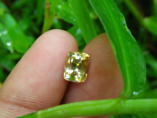 Colour : Yellow Shape : Cushion Weight : 3.23CTS Dimension : 8.5 x 6.8 x 5.1 mm Treatment : UNHeated Clarity : Clean • CSL - Colored Stone Laboratory Certified ( GIA Alumni Association Member ) • CSL Memo No : 07062E8FF92C