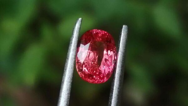 http://danugroup.lk/?product_category=&s=padparadscha+sapphire&post_type=product