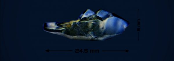 Ceylon Natural Sapphire fish crystal danu group image 02