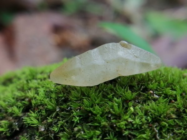 11_ceylon Natural Sapphire Crystal - Danu Group Gemstones