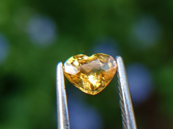Ceylon Natural Yellow Sapphire from Danu Group Minings