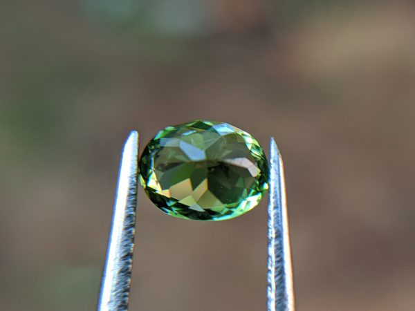 5_Natural Peridot Danu Group Gemstones Amazing green