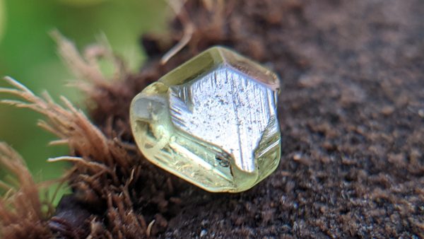 17_Rare Natural Chrysoberyl Crystal from Danu Group Gemstones Mining_compress19
