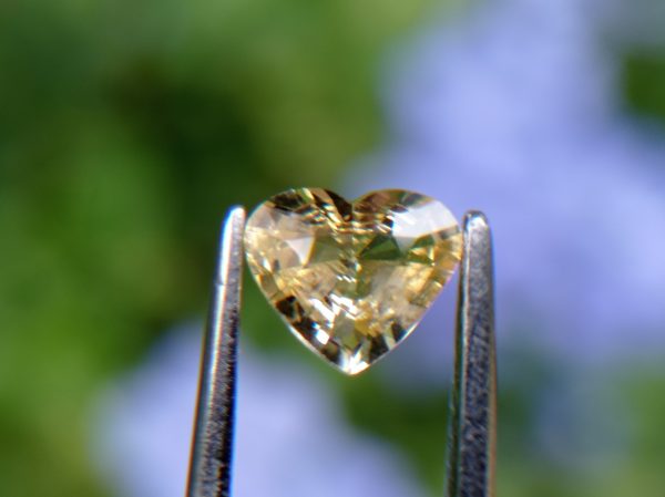 6_Natural light yellow Sapphire from Danu Group Gemstones