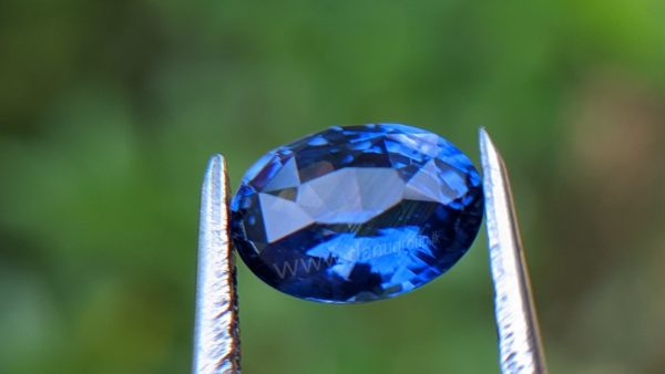 Cornflower Blue Sapphire Sri Lanka - Danu Group Gemstones