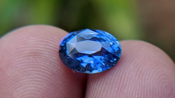 Cornflower Blue Sapphire Sri Lanka - Danu Group Gemstones