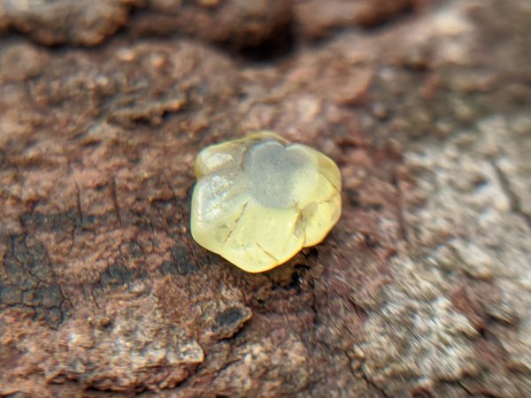 Ceylon Natural chrysoberyl Rare Crystal from Danu Group Gemstones Mining