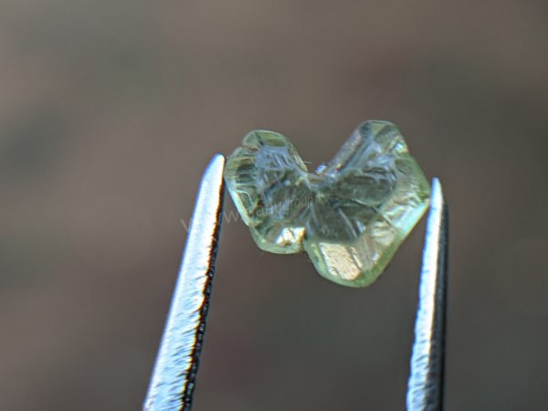 Very Rare Natural Chrysoberyl Sixling Butterfly Crystal from Danu Group rare collection