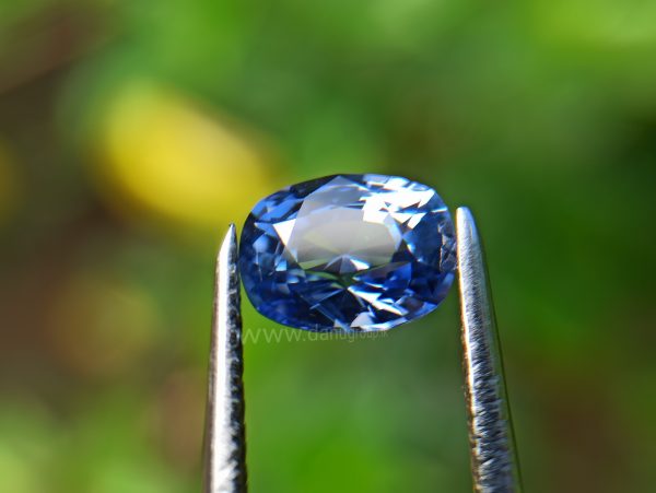 1_Ceylon Natural Blue Sapphire danu group Gemstones Natural Unheated
