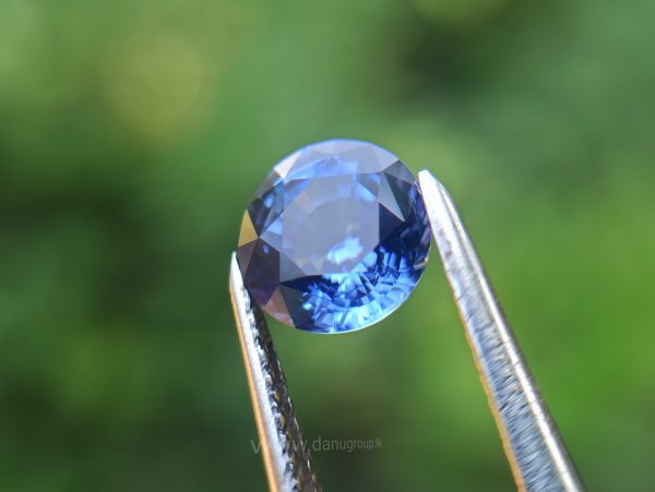 Ceylon Cornflower Blue Sapphire - Danu Group Gemstones