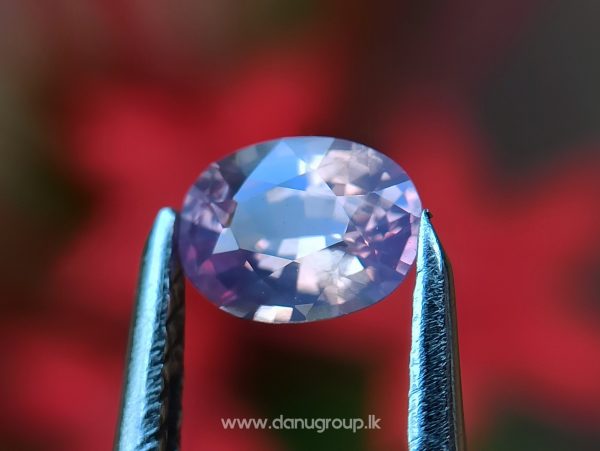 Ceylon Natural Fancy Sapphire Couple - Danu Group Gemstones Collection
