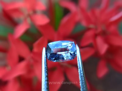 Ceylon Natural Light Blue Sapphire Pair Danu Group