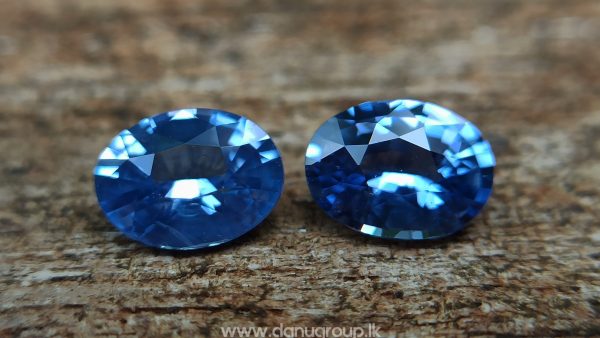 Ceylon Natural Blue Sapphire Pair for Earrings - danugroup.lk