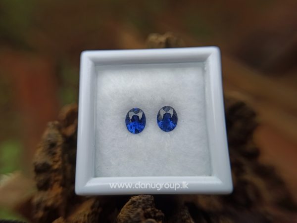 Ceylon Natural Vivid Royal Blue Sapphire Pair Danu Group Gemstones Collection - danugroup.lk