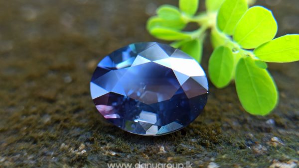 Dark purple sapphire oval shape 2 ct plus gem from Danu Group Gemstones Collections danugroup.lk