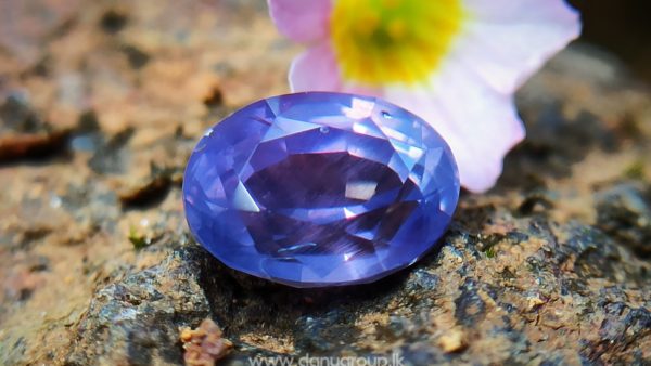 Natural Purple Sapphire Oval Shape stone from Danu Group