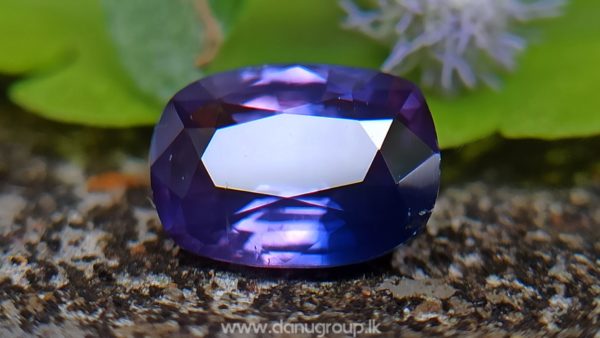 Ceylon Purple Sapphire with Blue color zoning Danu Group Gemstones