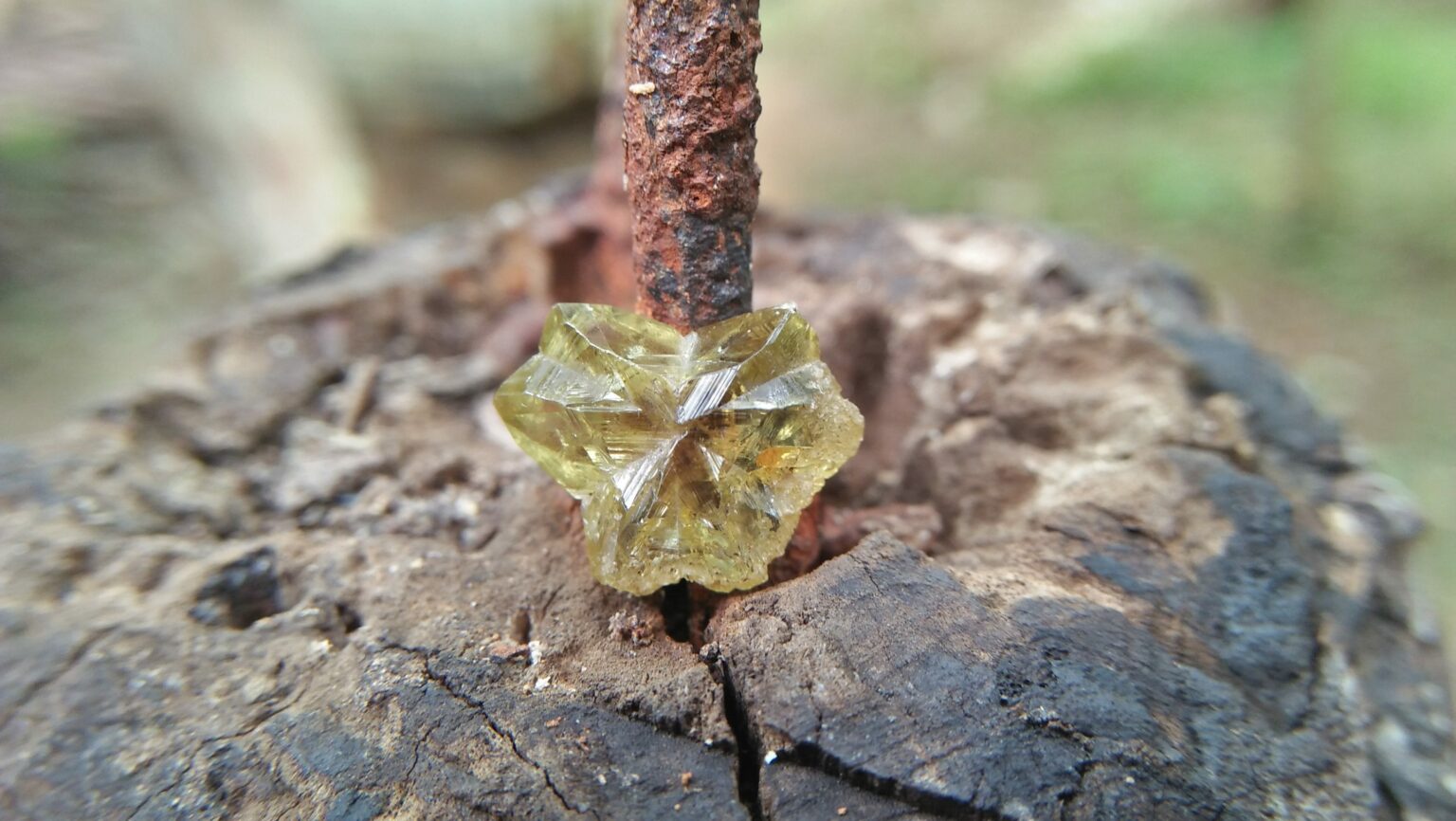 🇱🇰 CEYLON Natural Chrysoberyl Crystal 12.5mm x 10mm x 5mm dimensionstone unearthed from city of gem Ratnapura Mineral Sri Lanka Crysoberyl Crystal is the rare crystal type of gemstone family.
