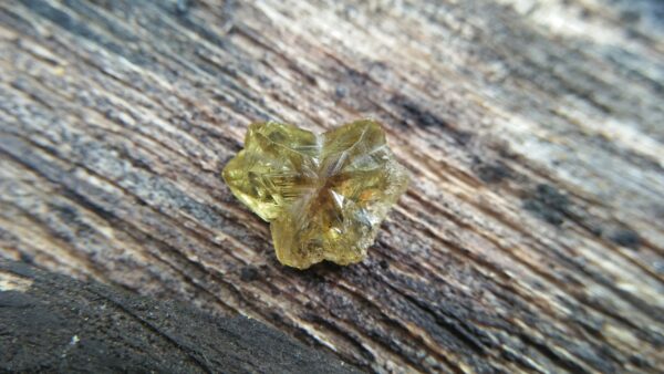 🇱🇰 CEYLON Natural Chrysoberyl Crystal 12.5mm x 10mm x 5mm dimensionstone unearthed from city of gem Ratnapura Mineral Sri Lanka Crysoberyl Crystal is the rare crystal type of gemstone family.