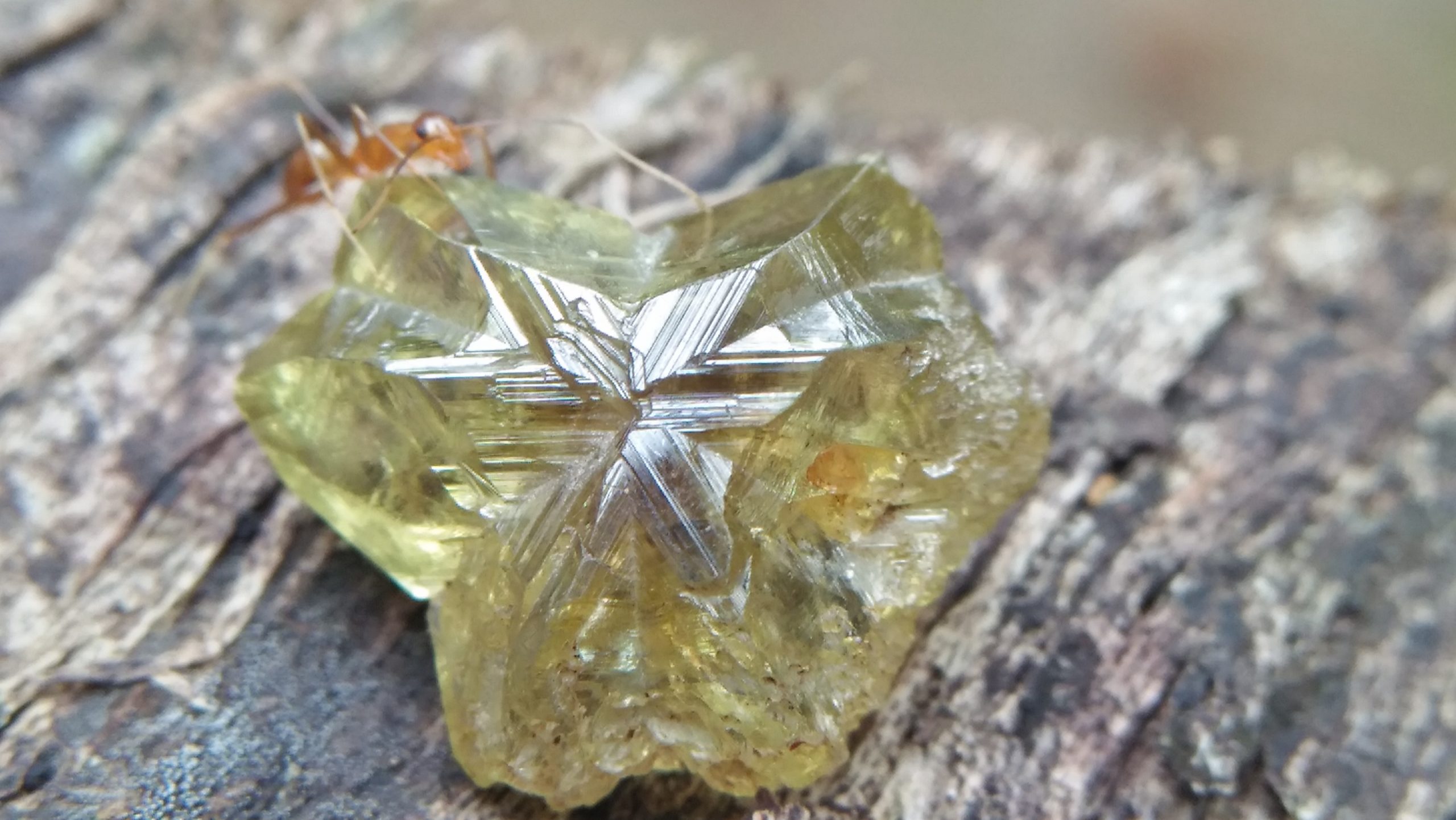 Rare Crystal Type Sixling, CEYLON Natural Chrysoberyl Crystal