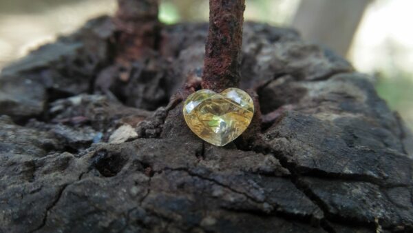 Ceylon Natural Yellow Sapphire Heart Weight : 1.05cts Dimension : 6.2mm x 7.5mm x 3.2mm Shape : Heart Colour : Yellow Treatments : Unheated/ Natural