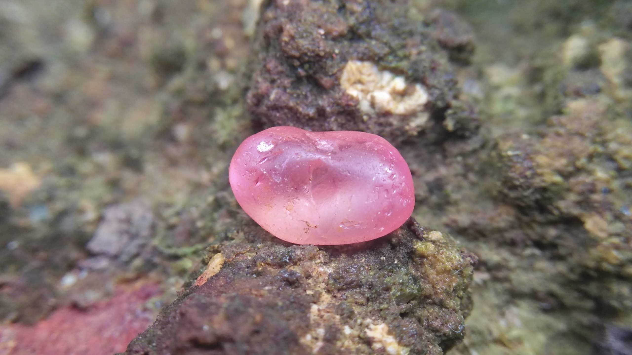 CEYLON 👑 King Sapphire This padparadscha sapphire rough stone unearthed from Rakwana Mineral, Ratnapura, Sri Lanka yesterday. Padparadscha sapphire is a special variety of gem corundum, featuring a delicate color that is a mixture of pink and orange ‘ a marriage between ruby and yellow sapphire The name padparadscha derives from the Sinhalies word ( පද්මරාග ) padmaraga,meaning lotus blossom, as the stone is of a similar color to the lotus blossom You will often hear that the rarest and most expensive sapphire is the pink-orange padparadscha from Sri Lanka.