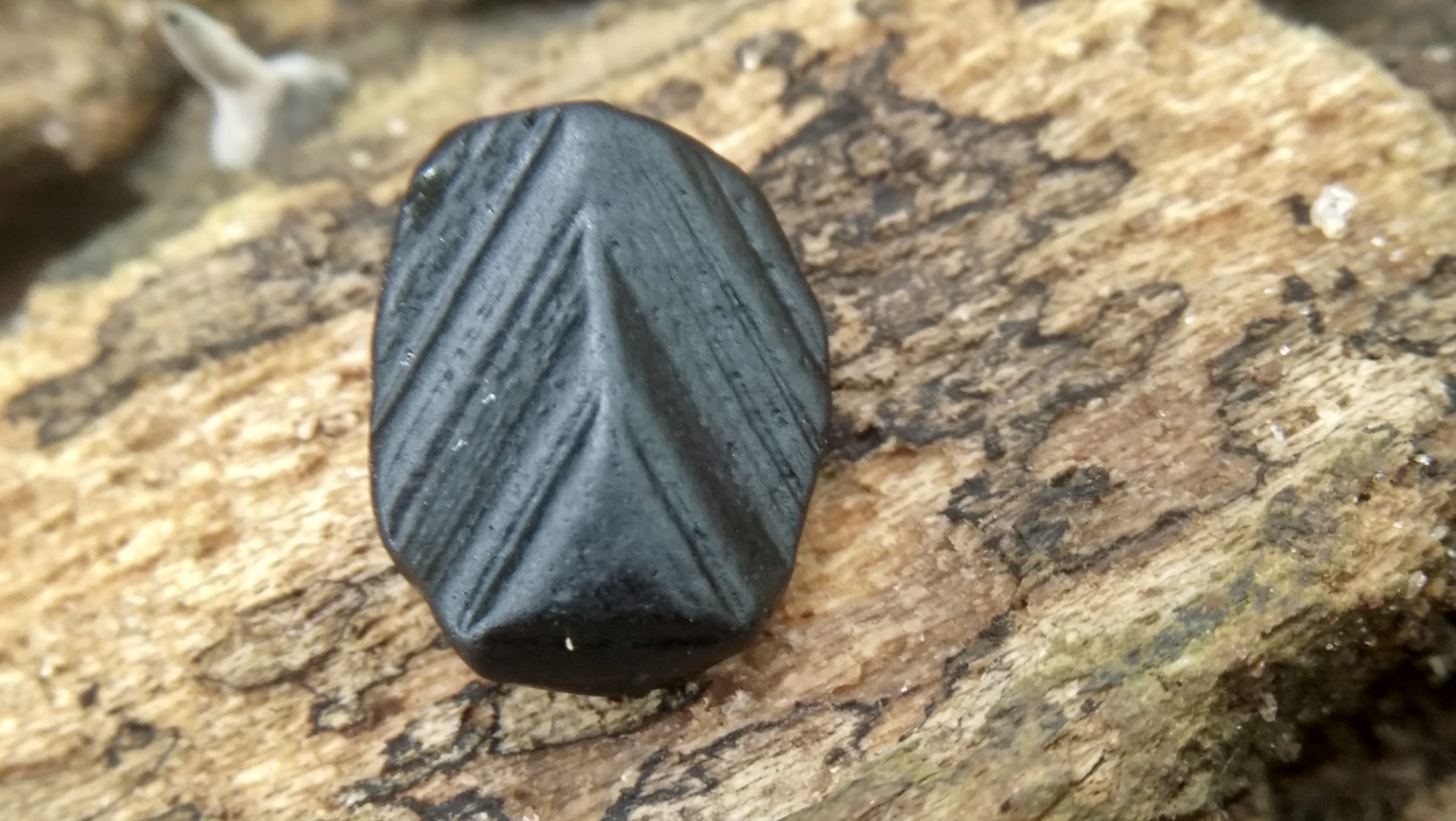 Beauty Of nature Creation, Ceylon Natural Black Spinel With special earth creation " Trigon Δ " Mark https://youtu.be/34Blovp2XOg https://danugroup.lk Spinel is the magnesium aluminium member of the larger spinel group of minerals. It has the formula MgAl₂O₄ in the cubic crystal system. Its name comes from Latin "spina" Spinel helps to release stress and worry whilst replenishing depleted energy.