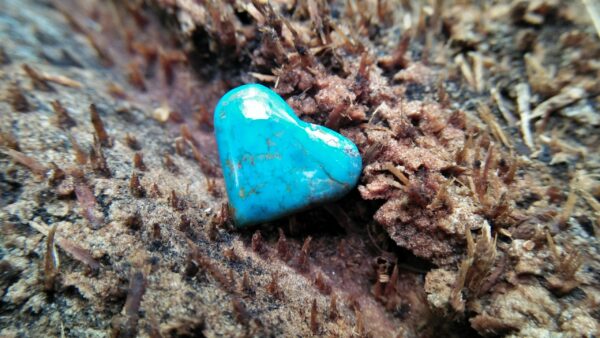 Natural Torquoise Heart Dimension : 12.1mm x 14.5mm x 3.5mm Weight : 4.20Cts Shape : Heart Treatments : Unheated/ Natural Clarity : Naturally Opaque Location : USA