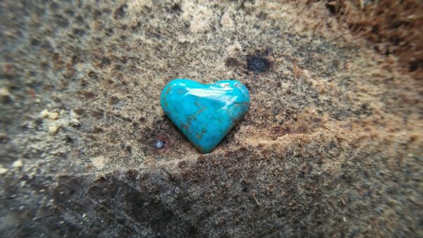 Natural Torquoise Heart Dimension : 12.1mm x 14.5mm x 3.5mm Weight : 4.20Cts Shape : Heart Treatments : Unheated/ Natural Clarity : Naturally Opaque Location : USA