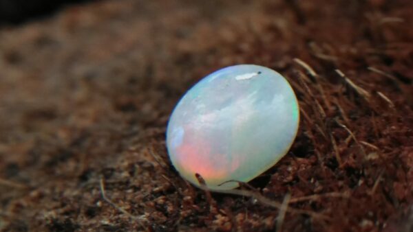 Natural Opal  Dimension : 6.50mm x 6.1mm  Weight : 0.35Cts Shape : Semi Ovel Treatment : Unheated/ Natural Mineral : Australia