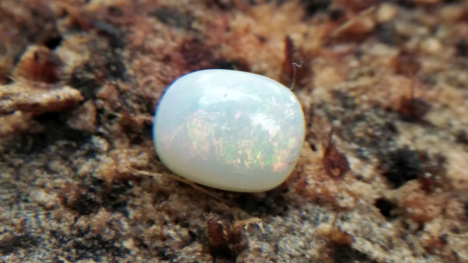 🇳🇿 ✈ 🇱🇰 👇 Australian Opal 6.1mm x 5.3mm dimension , ovel shape stone 💧 unearthed from Australia. Opal is luckiest and most magical of all gems because it can show all colors https://youtu.be/7LG4gS8MyK8 Opal is a hydrated amorphous form of silica; its water content may range from 3 to 21% by weight, but is usually between 6 and 10%. Because of its amorphous character, it is classed as a mineraloid, unlike crystalline forms of silica, which are classed as minerals (wiki©) https://danugroup.lk https://danugroup.business.sitei https://fb.com/danugroup.lk