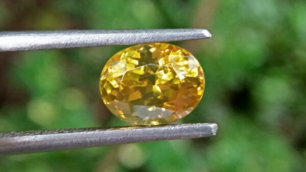 Ceylon Natural Melichrysos, Golden Yellow Zircon Shape : Ovel Shape Colour : Greenish Golden yellow Weight : 2.25Cts Dimension : 7.2mm x 6.1mm x 5.1mm Clarity : Clean stone Mineral : City of Gem Ratnapura Sri Lanka