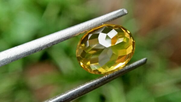 Ceylon Natural Melichrysos, Golden Yellow Zircon Shape : Ovel Shape Colour : Greenish Golden yellow Weight : 2.25Cts Dimension : 7.2mm x 6.1mm x 5.1mm Clarity : Clean stone Mineral : City of Gem Ratnapura Sri Lanka