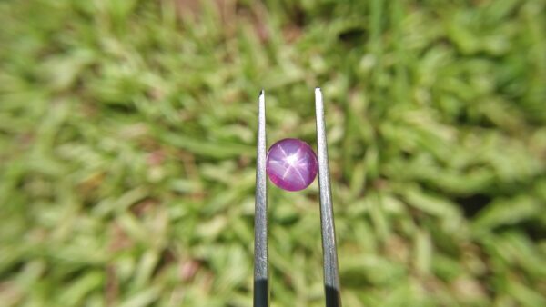 Ceylon Natural Star Pink Sapphire Dimension -: 6.5mm x 6.7mm x 5.30mm Weight -: 2.45Cts Mineral -: Ratnapura, Sri Lanka Treatment -: Unheated/Natural Colour -: Pink Clarity -: SI Clarity