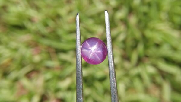 Ceylon Natural Star Pink Sapphire Dimension -: 6.5mm x 6.7mm x 5.30mm Weight -: 2.45Cts Mineral -: Ratnapura, Sri Lanka Treatment -: Unheated/Natural Colour -: Pink Clarity -: SI Clarity