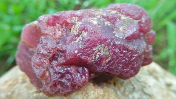 A ruby is a pink to blood-red colored gemstone, a variety of the mineral corundum. Other varieties of gem-quality corundum are called sapphires. Category: Oxide mineral variety Formula: aluminium oxide with chromium, Al2O3:Cr Crystal system: Trigonal Crystal class: Hexagonal Mohs scale: hardness 9.0 Luster: Subadamantine, vitreous, pearly Specific gravity: 3.97 – 4.05 Optical properties: Uniaxial - Refractive index: nω=1.768–1.772 nε=1.760–1.763 Ruby is a powerful stone to shield against negative energy, psychic attack, and energy vampirism, especially of the heart energy.Ruby is a stone of Divine creativity. It boosts your energy levels and promotes high self-esteem, intuition, and spiritual wisdom. According to astrology generally ruby should be worn in ring finger of right hand. Ruby is one of the most popular gemstones, and is used extensively in Jewelry. Ruby is used in all forms of jewelry, including bracelets, necklaces, rings, and earrings.