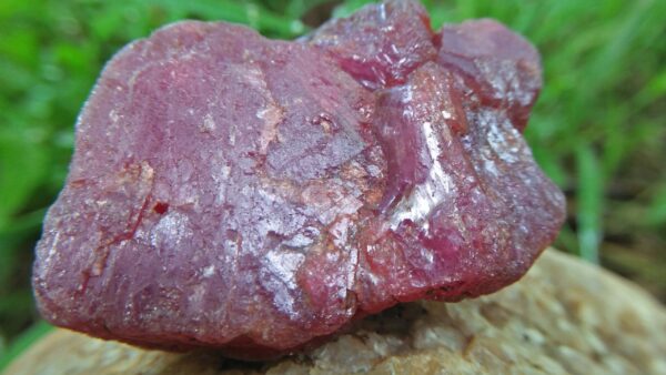 A ruby is a pink to blood-red colored gemstone, a variety of the mineral corundum. Other varieties of gem-quality corundum are called sapphires. Category: Oxide mineral variety Formula: aluminium oxide with chromium, Al2O3:Cr Crystal system: Trigonal Crystal class: Hexagonal Mohs scale: hardness 9.0 Luster: Subadamantine, vitreous, pearly Specific gravity: 3.97 – 4.05 Optical properties: Uniaxial - Refractive index: nω=1.768–1.772 nε=1.760–1.763 Ruby is a powerful stone to shield against negative energy, psychic attack, and energy vampirism, especially of the heart energy.Ruby is a stone of Divine creativity. It boosts your energy levels and promotes high self-esteem, intuition, and spiritual wisdom. According to astrology generally ruby should be worn in ring finger of right hand. Ruby is one of the most popular gemstones, and is used extensively in Jewelry. Ruby is used in all forms of jewelry, including bracelets, necklaces, rings, and earrings.