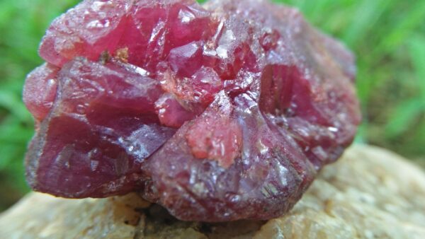 A ruby is a pink to blood-red colored gemstone, a variety of the mineral corundum. Other varieties of gem-quality corundum are called sapphires. Category: Oxide mineral variety Formula: aluminium oxide with chromium, Al2O3:Cr Crystal system: Trigonal Crystal class: Hexagonal Mohs scale: hardness 9.0 Luster: Subadamantine, vitreous, pearly Specific gravity: 3.97 – 4.05 Optical properties: Uniaxial - Refractive index: nω=1.768–1.772 nε=1.760–1.763 Ruby is a powerful stone to shield against negative energy, psychic attack, and energy vampirism, especially of the heart energy.Ruby is a stone of Divine creativity. It boosts your energy levels and promotes high self-esteem, intuition, and spiritual wisdom. According to astrology generally ruby should be worn in ring finger of right hand. Ruby is one of the most popular gemstones, and is used extensively in Jewelry. Ruby is used in all forms of jewelry, including bracelets, necklaces, rings, and earrings.