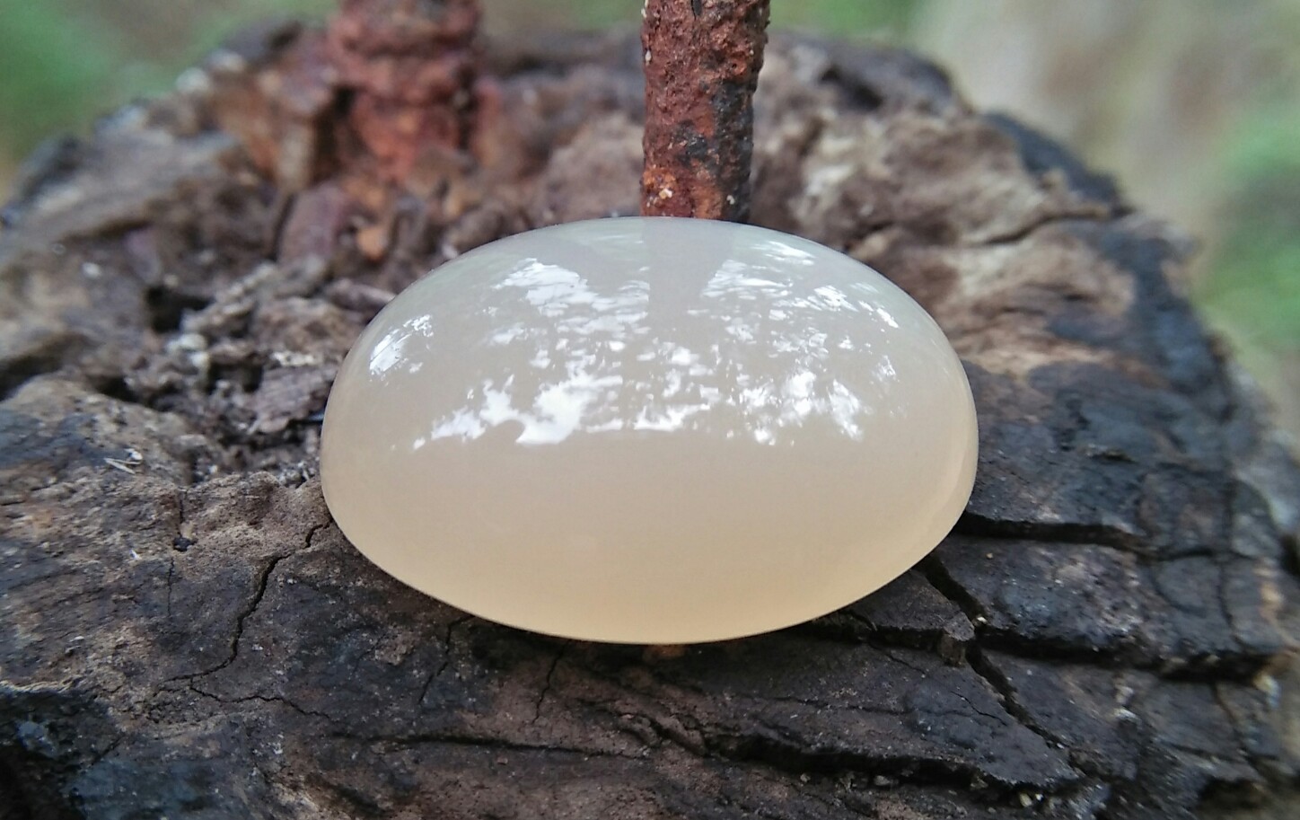🇱🇰 Ceylon Natural Moonstone Cats Eye Creamy Colour, 25.35cts, 22.5mm x 17.1mm x 9.1mm dimension stone unearthed from City of gem Ratnapura mineral Sri Lanka https://youtu.be/enDhTpVRggE