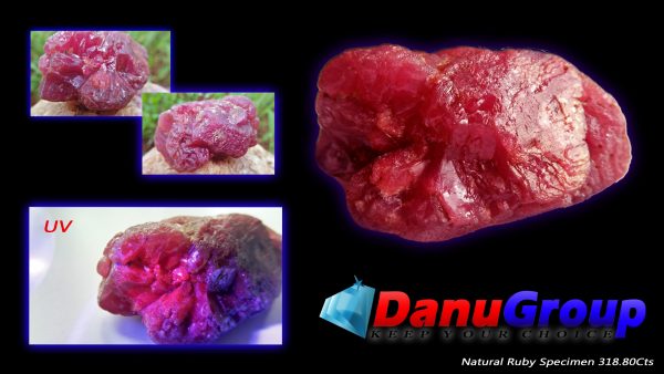 Natural Ruby specimen 318.80Cts weight, 51mm x 21mm x 30mm dimension stone A ruby is a pink to blood-red colored gemstone, a variety of the mineral corundum. Other varieties of gem-quality corundum are called sapphires. Category: Oxide mineral variety Formula: aluminium oxide withchromium, Al2O3:Cr Crystal system: Trigonal Crystal class: Hexagonal Mohs scale: hardness9.0 Luster: Subadamantine, vitreous, pearly Specific gravity: 3.97 – 4.05 Optical properties: Uniaxial - Refractive index: nω=1.768–1.772 nε=1.760–1.763 Ruby is a powerful stone to shield against negative energy, psychic attack, and energy vampirism, especially of the heart energy.Ruby is a stone of Divine creativity. It boosts your energy levels and promotes high self-esteem, intuition, and spiritual wisdom. According to astrology generally ruby should be worn in ring finger of right hand. Ruby is one of the most popular gemstones, and is used extensively in Jewelry. Ruby is used in all forms of jewelry, including bracelets, necklaces, rings, and earrings.