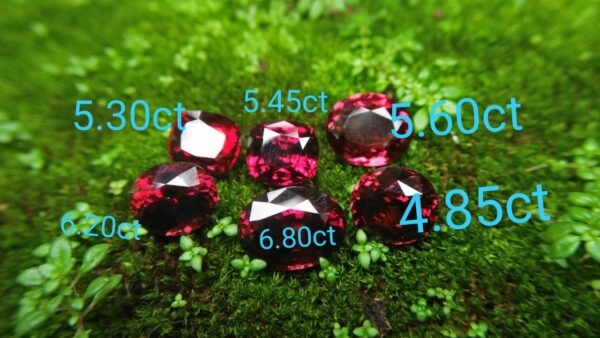 Ceylon Natural Rhodolite Garnets Dimension: 9.4mm x 8.2mm x 7.6mm/ 9.6mm x 8.8mm x 6.8mm 10mm x 8.7mm x 6.5mm/ 10.5mm x 9.4mm x 6.8mm 13mm x 9.8mm x 5.9mm/ 11.9mm / 10mm x 4.8mm Weights: 5.30cts/ 5.45cts/ 5.60cts/ 6.20cts/ 6.80cts/ 4.85cts Mineral: City of gem Ratnapurea Sri Lanka Shapes: Ovel and Cution Colour: Pinkish Red Pieces: 6 Treatment: NO Treatment/Unheated/Natural