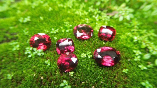 Ceylon Natural Rhodolite Garnets Dimension: 9.4mm x 8.2mm x 7.6mm/ 9.6mm x 8.8mm x 6.8mm 10mm x 8.7mm x 6.5mm/ 10.5mm x 9.4mm x 6.8mm 13mm x 9.8mm x 5.9mm/ 11.9mm / 10mm x 4.8mm Weights: 5.30cts/ 5.45cts/ 5.60cts/ 6.20cts/ 6.80cts/ 4.85cts Mineral: City of gem Ratnapurea Sri Lanka Shapes: Ovel and Cution Colour: Pinkish Red Pieces: 6 Treatment: NO Treatment/Unheated/Natural
