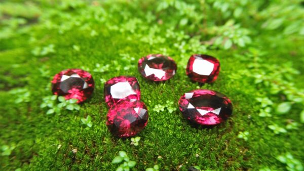 Ceylon Natural Rhodolite Garnets Dimension: 9.4mm x 8.2mm x 7.6mm/ 9.6mm x 8.8mm x 6.8mm 10mm x 8.7mm x 6.5mm/ 10.5mm x 9.4mm x 6.8mm 13mm x 9.8mm x 5.9mm/ 11.9mm / 10mm x 4.8mm Weights: 5.30cts/ 5.45cts/ 5.60cts/ 6.20cts/ 6.80cts/ 4.85cts Mineral: City of gem Ratnapurea Sri Lanka Shapes: Ovel and Cution Colour: Pinkish Red Pieces: 6 Treatment: NO Treatment/Unheated/Natural